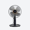 Fans